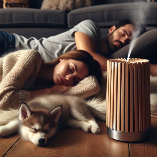Calming aromatherapy diffuser blend for relaxation and anxiety relief