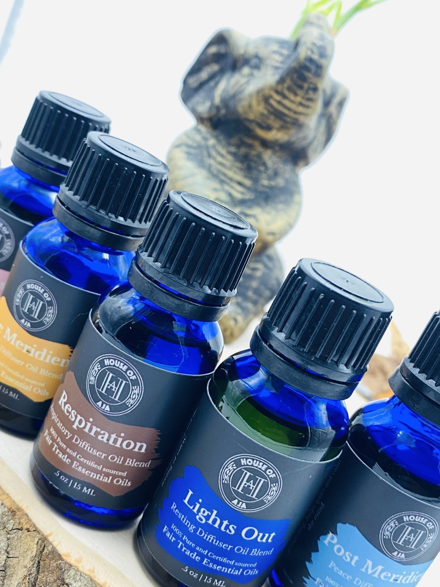 Aromatherapy Diffuser Blends | Relaxation, Focus & Sleep