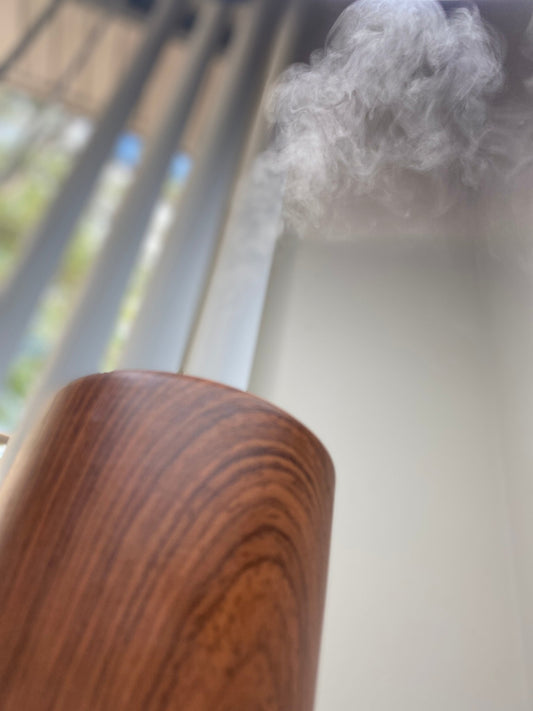 Unlocking Tranquility: Aromatherapy Bliss with Essential Oils in Your Humidifier - House of Aja